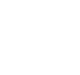Levare Logo